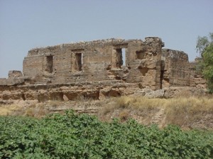 1328181051_grande